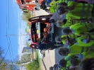 Smerfy i Pszczółki w OSP Suchedniów 06.05.2026