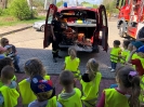 Smerfy i Pszczółki w OSP Suchedniów 06.05.2026