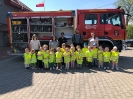 Smerfy i Pszczółki w OSP Suchedniów 06.05.2026