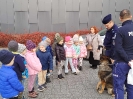 Starszaki poznają pracę policjantów - 14.11.2025