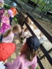 IFleiP0-