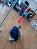 Warsztaty sportowe w Pszczółkach z absolwentem przedszkola - Jankiem M 30.04.2026