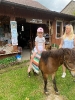 Wycieczka Biedronek do Agroturystyki na Górce - 22.06.2026