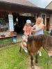 Wycieczka Biedronek do Agroturystyki na Górce - 22.06.2026