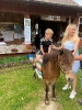 Wycieczka Biedronek do Agroturystyki na Górce - 22.06.2026