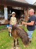 Wycieczka Biedronek do Agroturystyki na Górce - 22.06.2026