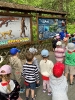 Wycieczka do Bałtowa - grupy Tygryski i Biedronki 28.05.2026r.
