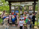 Wycieczka do Bałtowa - grupy Tygryski i Biedronki 28.05.2026r.