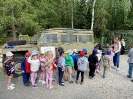 Wycieczka do Bałtowa - grupy Tygryski i Biedronki 28.05.2026r.