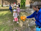 Wycieczka do Bałtowa - grupy Tygryski i Biedronki 28.05.2026r.