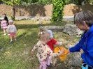 Wycieczka do Bałtowa - grupy Tygryski i Biedronki 28.05.2026r.