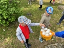 IMG_1605