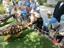 IMG-20260530-WA0044
