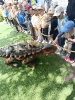 IMG-20260530-WA0053