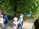 IMG-20260530-WA0096