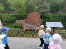 Wycieczka do Bałtowa Pszczółki i Smerfy 28.05.2026