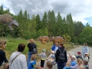 IMG-20260530-WA0111