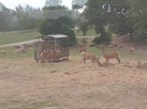IMG-20260530-WA0146