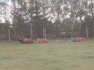 IMG-20260530-WA0147
