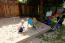 DSCF2966