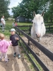 IMG-20260612-WA0022
