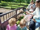 IMG-20260613-WA0039