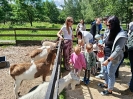 IMG-20260613-WA0045