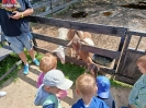 IMG-20260613-WA0046