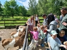 IMG-20260613-WA0048