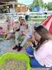 IMG-20260613-WA0061