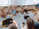 IMG-20260407-WA0007