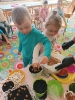IMG-20260407-WA0015