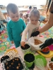 IMG-20260407-WA0016