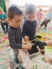 IMG-20260407-WA0020