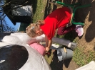 Biedronki na farmie Sołtysa 16.09.2026