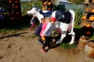 DSCF3760