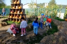 DSCF3762