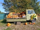 IMG-20260920-WA0006