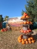 IMG-20260920-WA0007