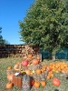 IMG-20260920-WA0008