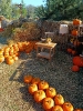 IMG-20260920-WA0009