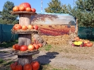 IMG-20260920-WA0012