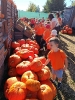 IMG-20260920-WA0015