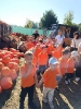 IMG-20260920-WA0017