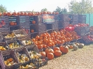 IMG-20260920-WA0020