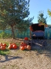 IMG-20260920-WA0024