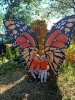 IMG-20260920-WA0049