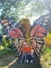 IMG-20260920-WA0052