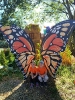 IMG-20260920-WA0055