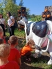 IMG-20260920-WA0059